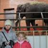zoo w chorzowie