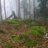 Świętokrzyski Park Narodowy, Mariusz Wiśniewski