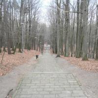 schody na szczyt-widok z góry, Danusia