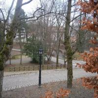 widok na park, Danusia