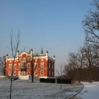 Pałac w Szałszy