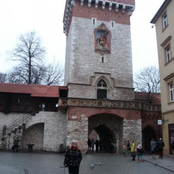 Brama Floriańska, mokunka