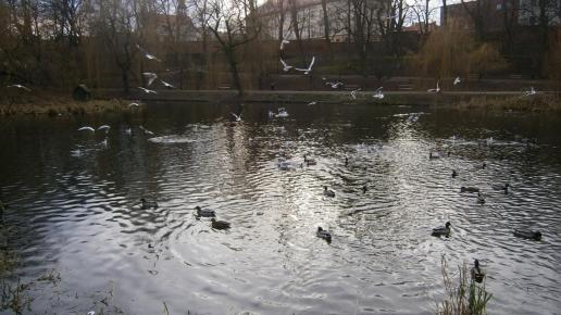 park im.Książąt Pomorskich, Danusia
