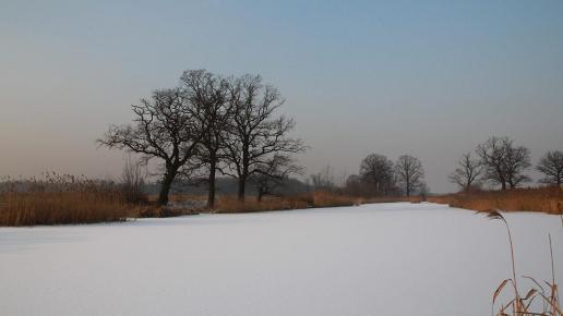Szałsza