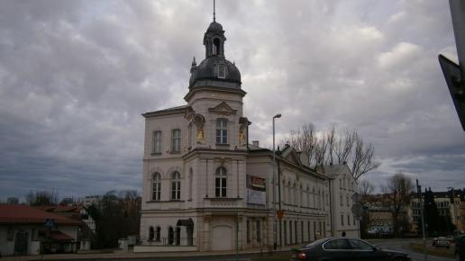 Pałac Młynarza, Danusia