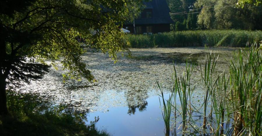 Chorzów - zoo i park śląski - zdjęcie
