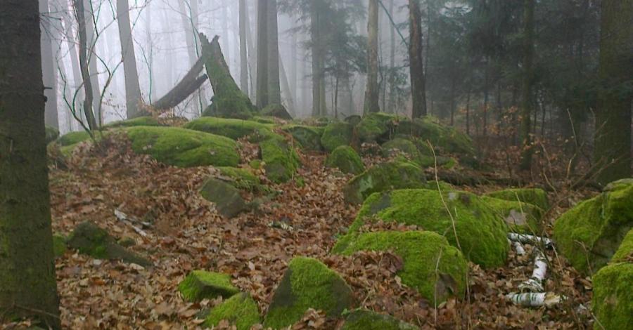 Świętokrzyski Spacer Noworoczny - zdjęcie
