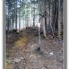 , Jerzy Jan