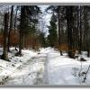 , Jerzy Jan