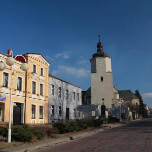 Woźniki