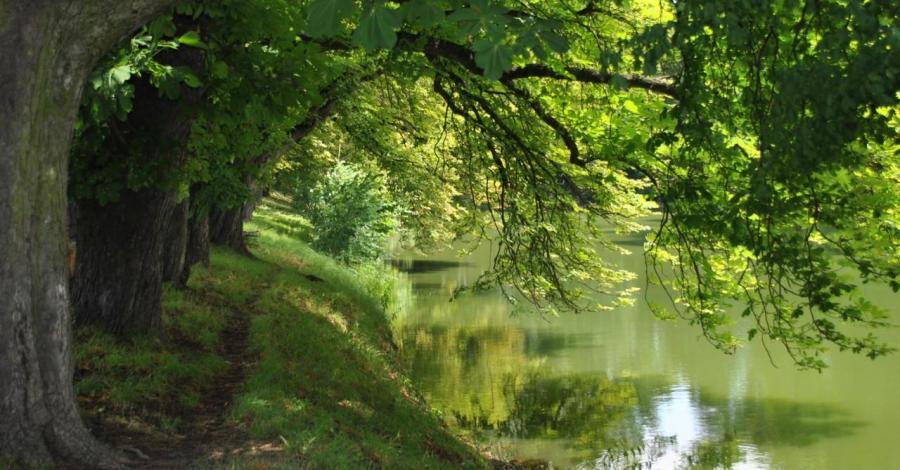 Wakacyjnych wojaży ciąg dalszy - droga na mazury. - zdjęcie