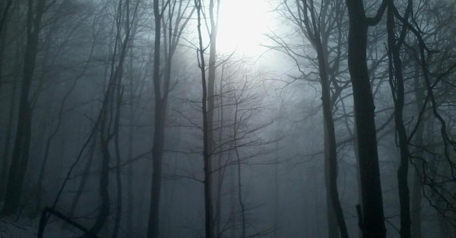 Lackowa - zdjęcie