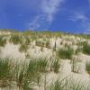 , Ewelina