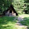 , Ewelina