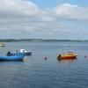 Rewa, Ewelina