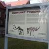, mokunka