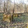 ?, Grzegorz