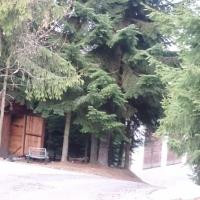 , mokunka