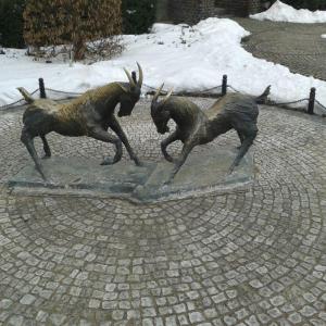 Koziołki na Placu Kolegiackim w Poznaniu