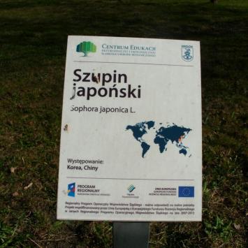 , mokunka