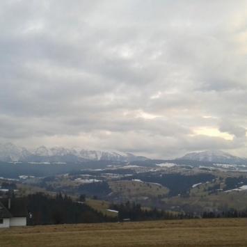 , mokunka