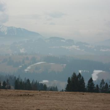 , mokunka