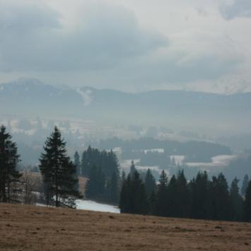, mokunka