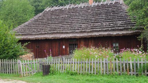 , Ewelina