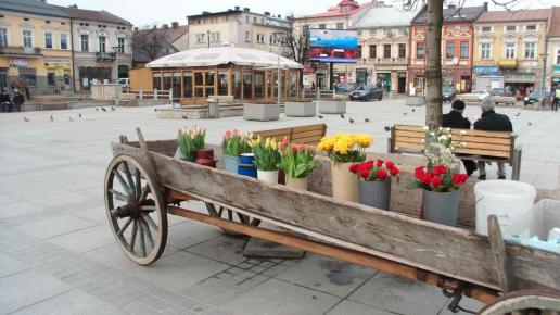 Rynek w Nowym Targu, mokunka