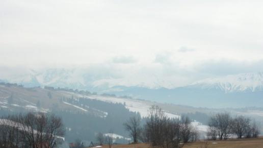 , mokunka