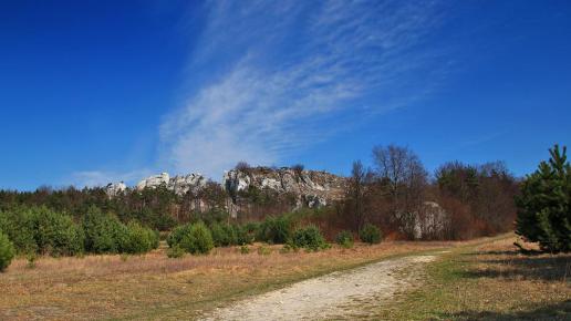 Góra Zborów