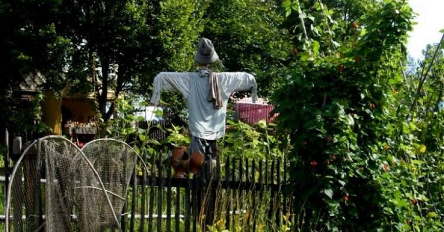 Kaszuby: Skansen we Wdzydzach Kiszewskich; Szymbark - zdjęcie