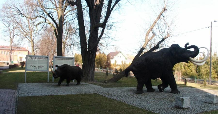 Mamut, stare lokomotywy i zadbany ryneczek – Pyskowice - zdjęcie