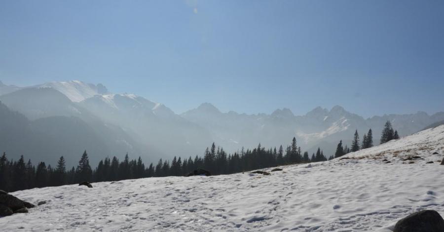Tatry - Rusinowa Polana - zdjęcie