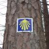 Znak szlaku