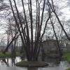 , Danusia