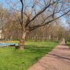Park, Tadeusz Walkowicz