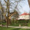 Zamek Dubiecko