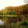 , MelanosChole