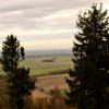 , MelanosChole