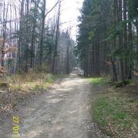 , mirosław