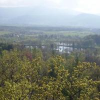 widok na stawy, Krzysztof Dorota