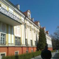 , marian