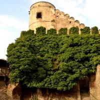 , MelanosChole