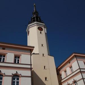Ratusz w Strzelcach Opolskich