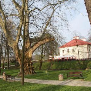 Zamek Dubiecko