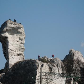 , mokunka