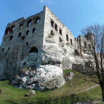 , mokunka