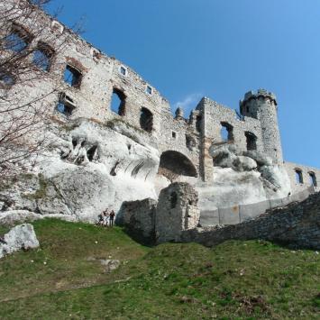 , mokunka
