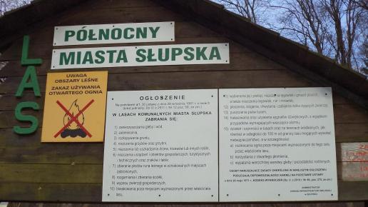 , Danusia